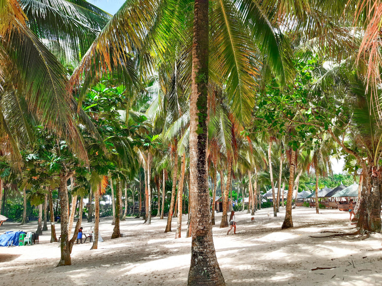 Siargao Day 3: Naked, Daku and Guyam Islands