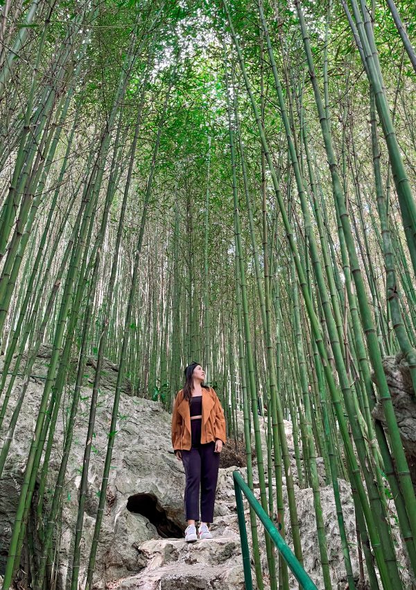 Baguio Day Tour Experience: Igorot Stone Kingdom and Mirador Heritage and Eco Park