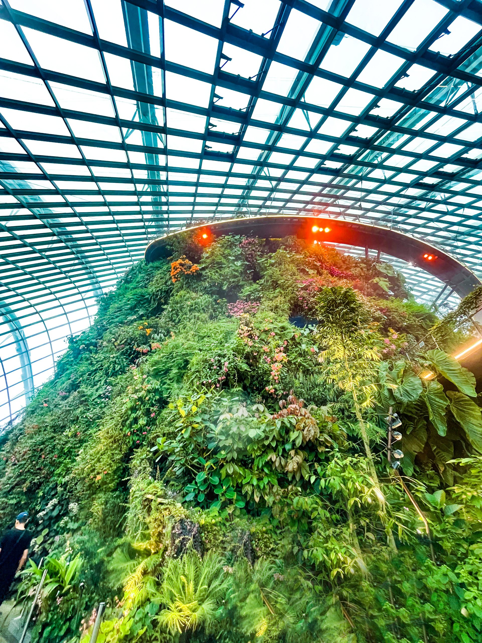 Gardens By the Bay Singapore
