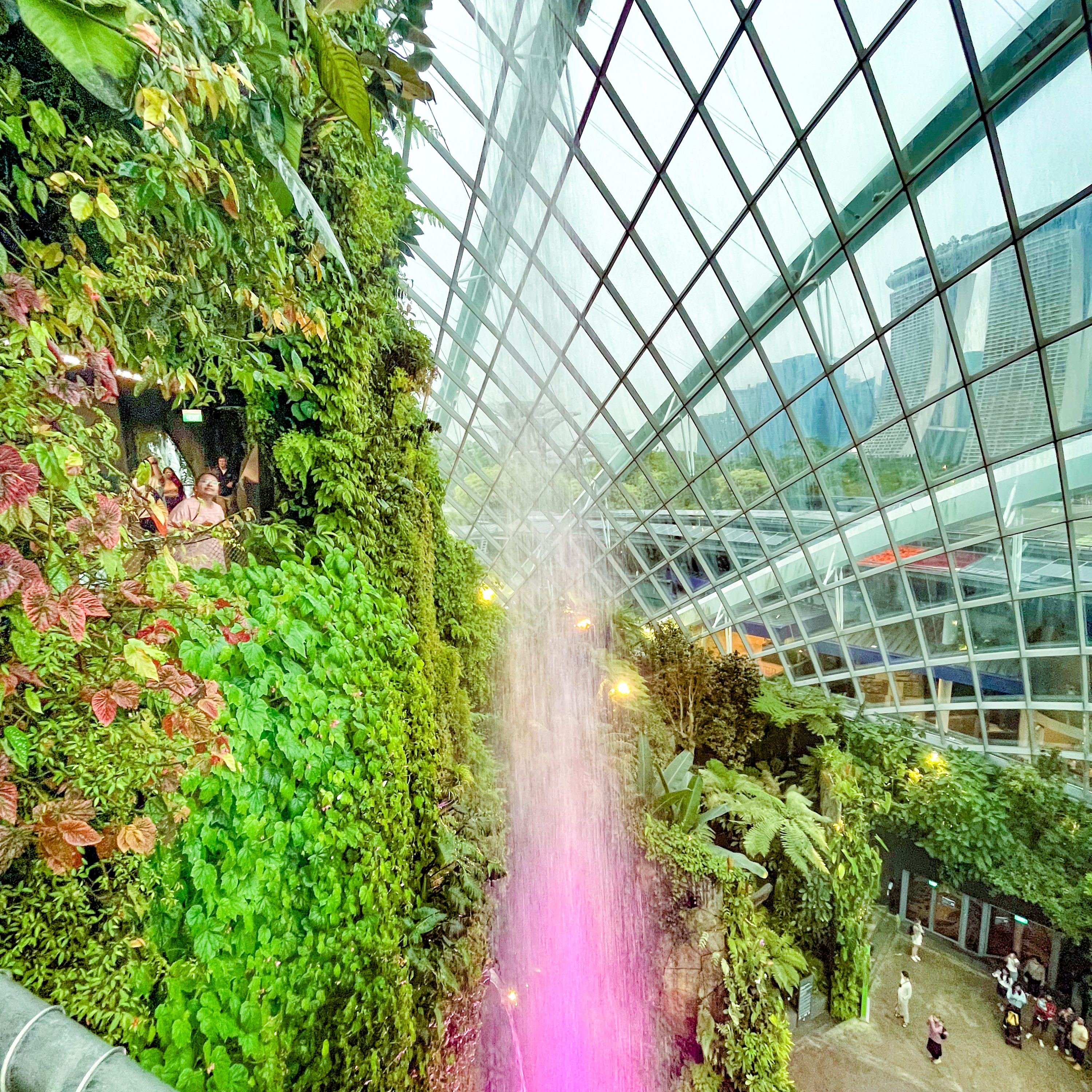 Gardens By the Bay Singapore