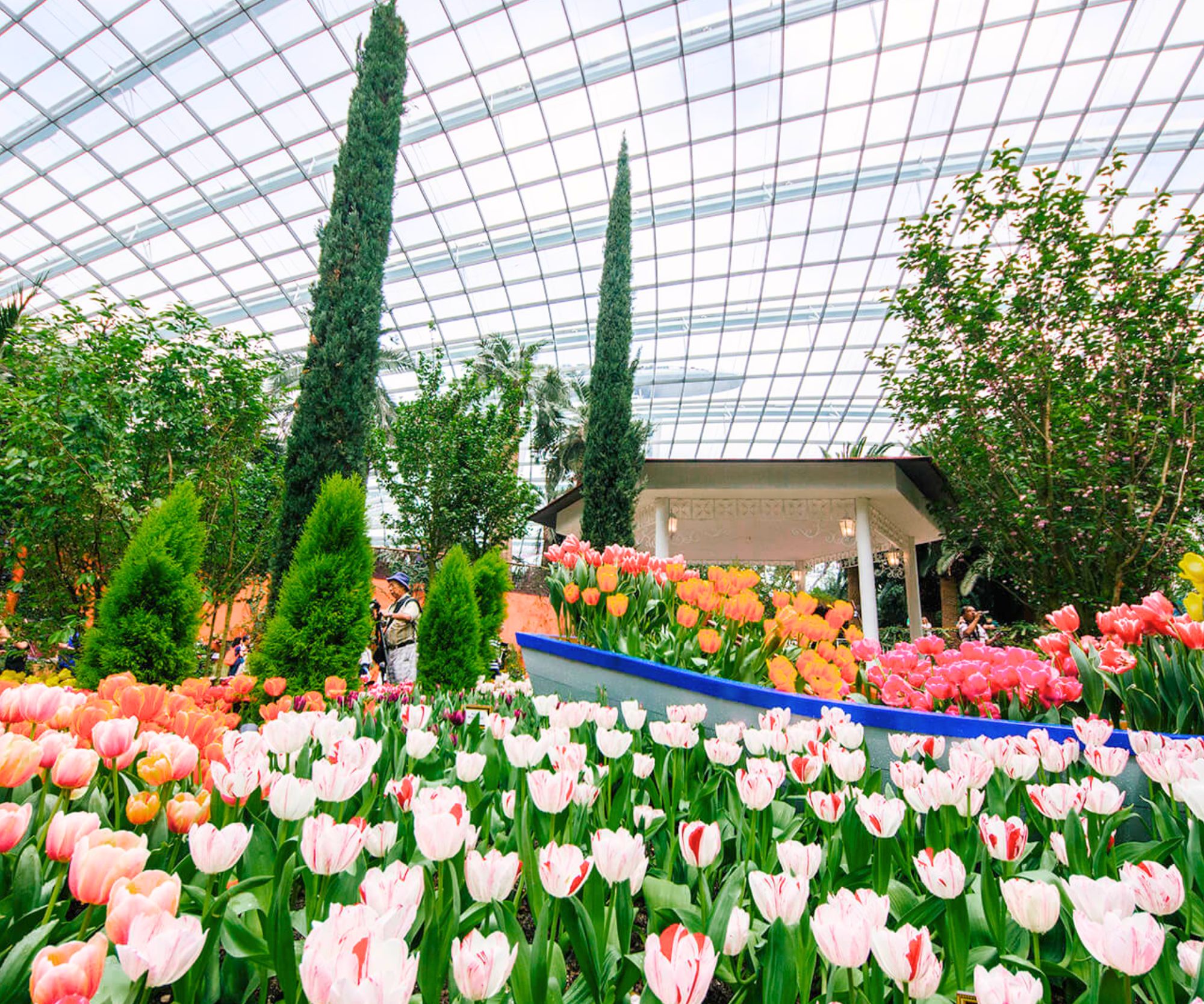 Gardens By the Bay Singapore