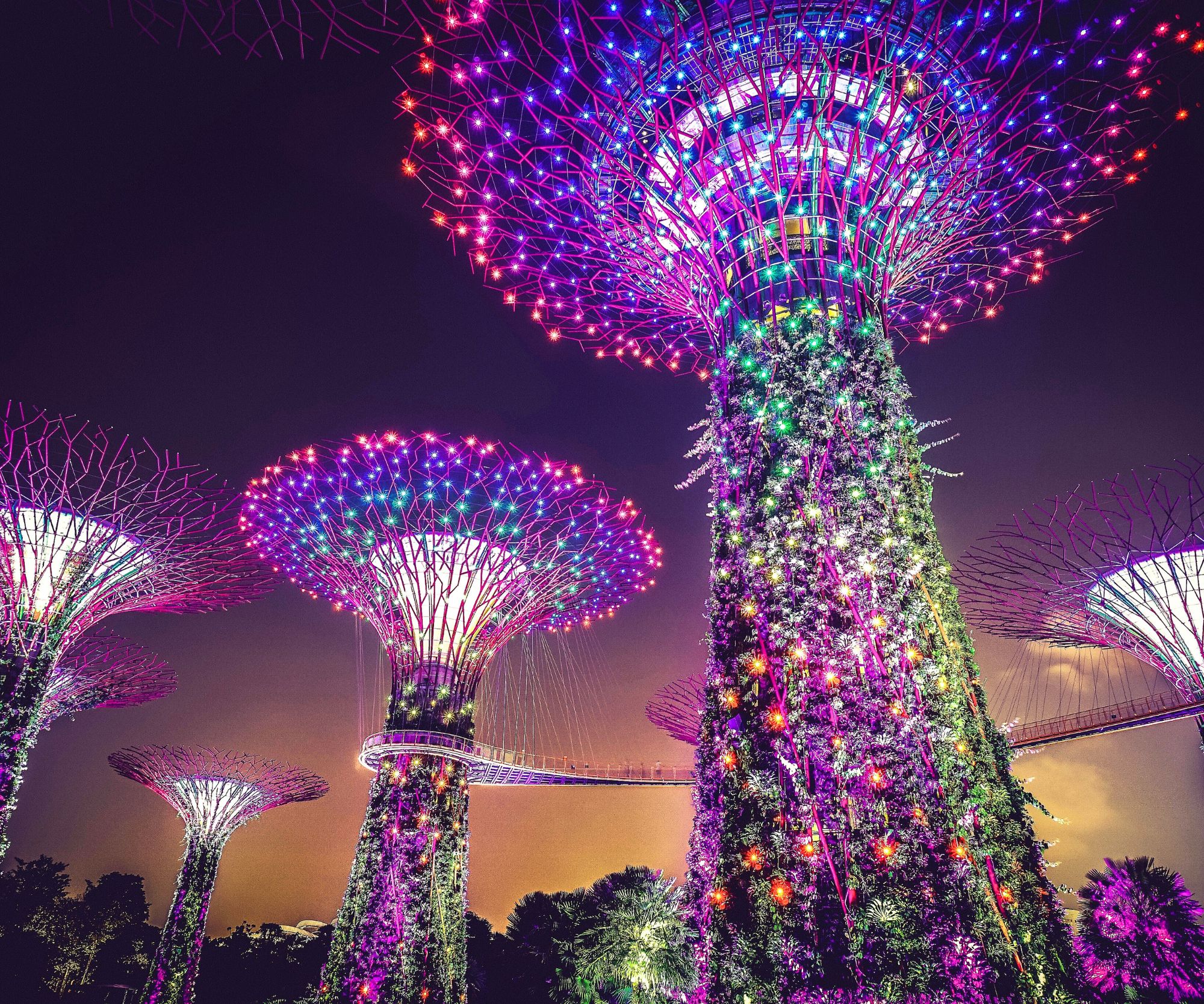 Gardens By the Bay Singapore