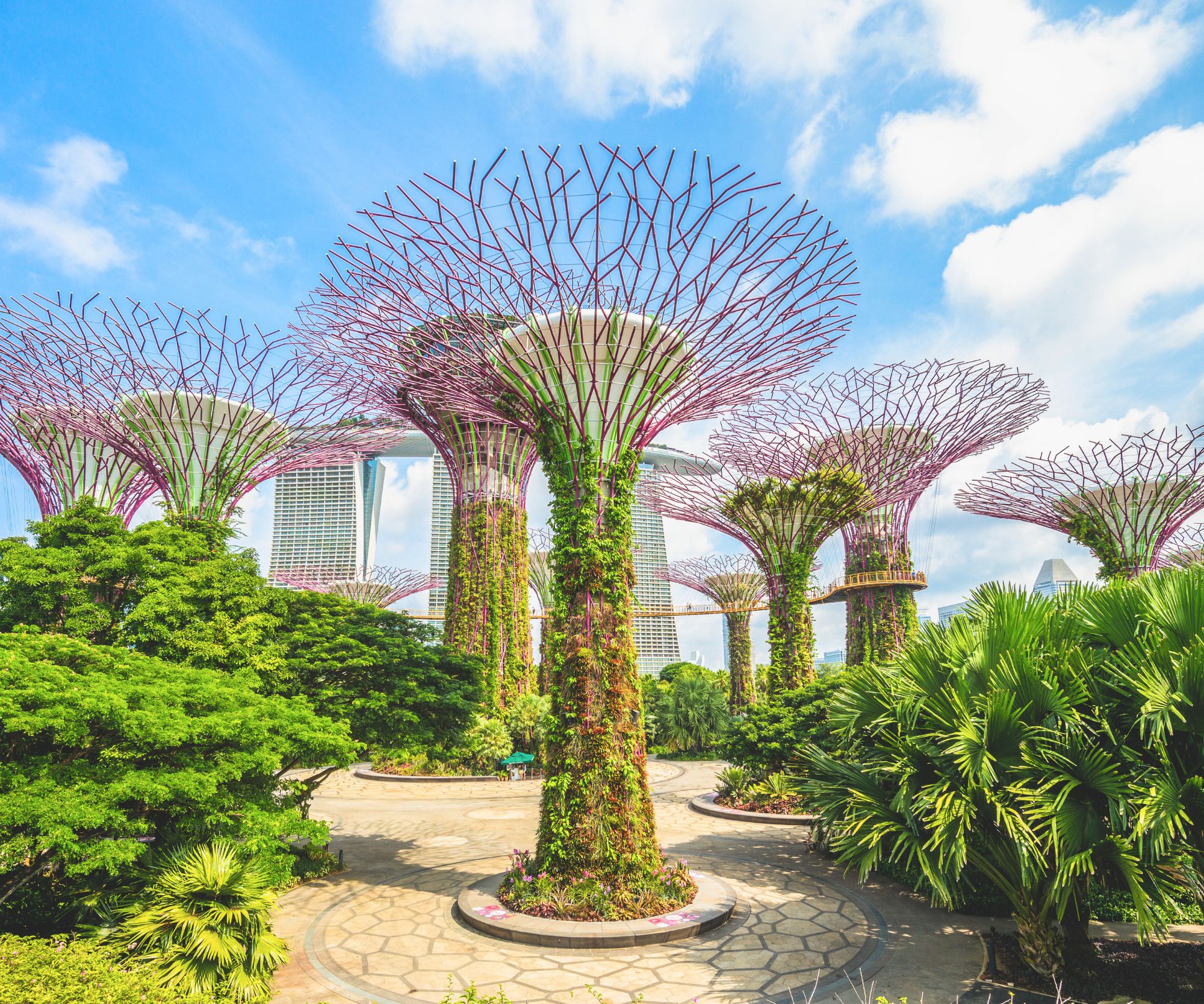 Gardens By the Bay Singapore