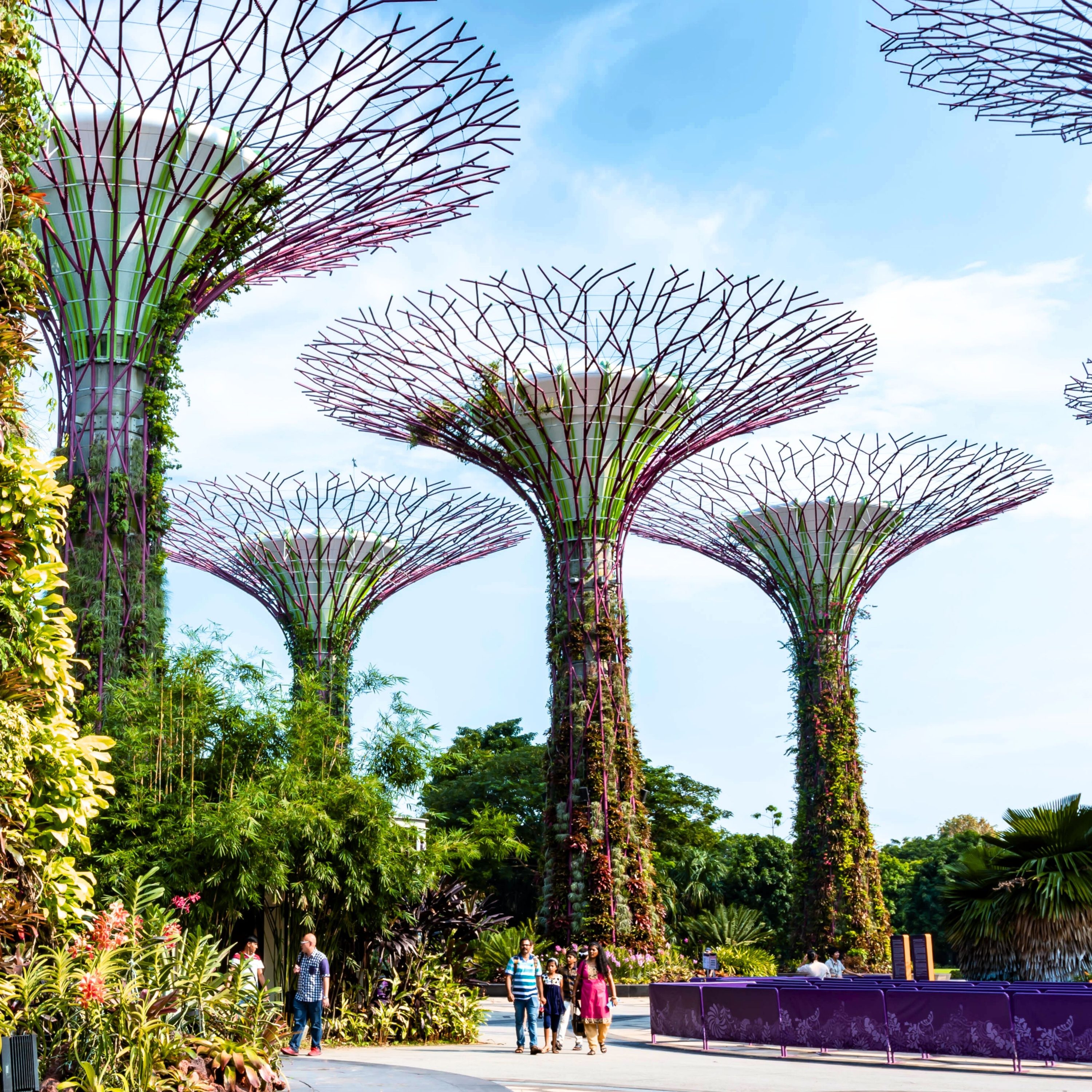 Gardens By the Bay Singapore
