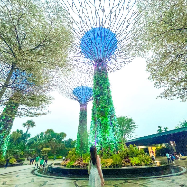 Gardens By the Bay Singapore