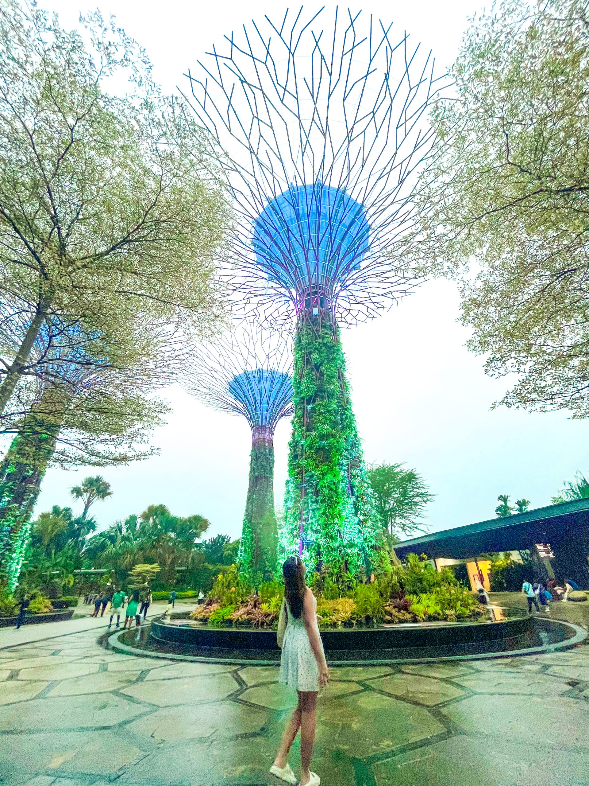 Gardens By the Bay Singapore