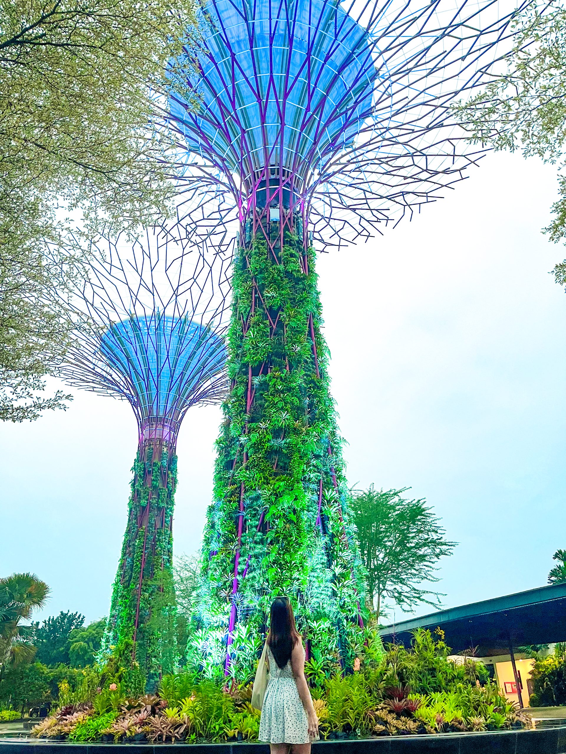 Gardens By the Bay Singapore