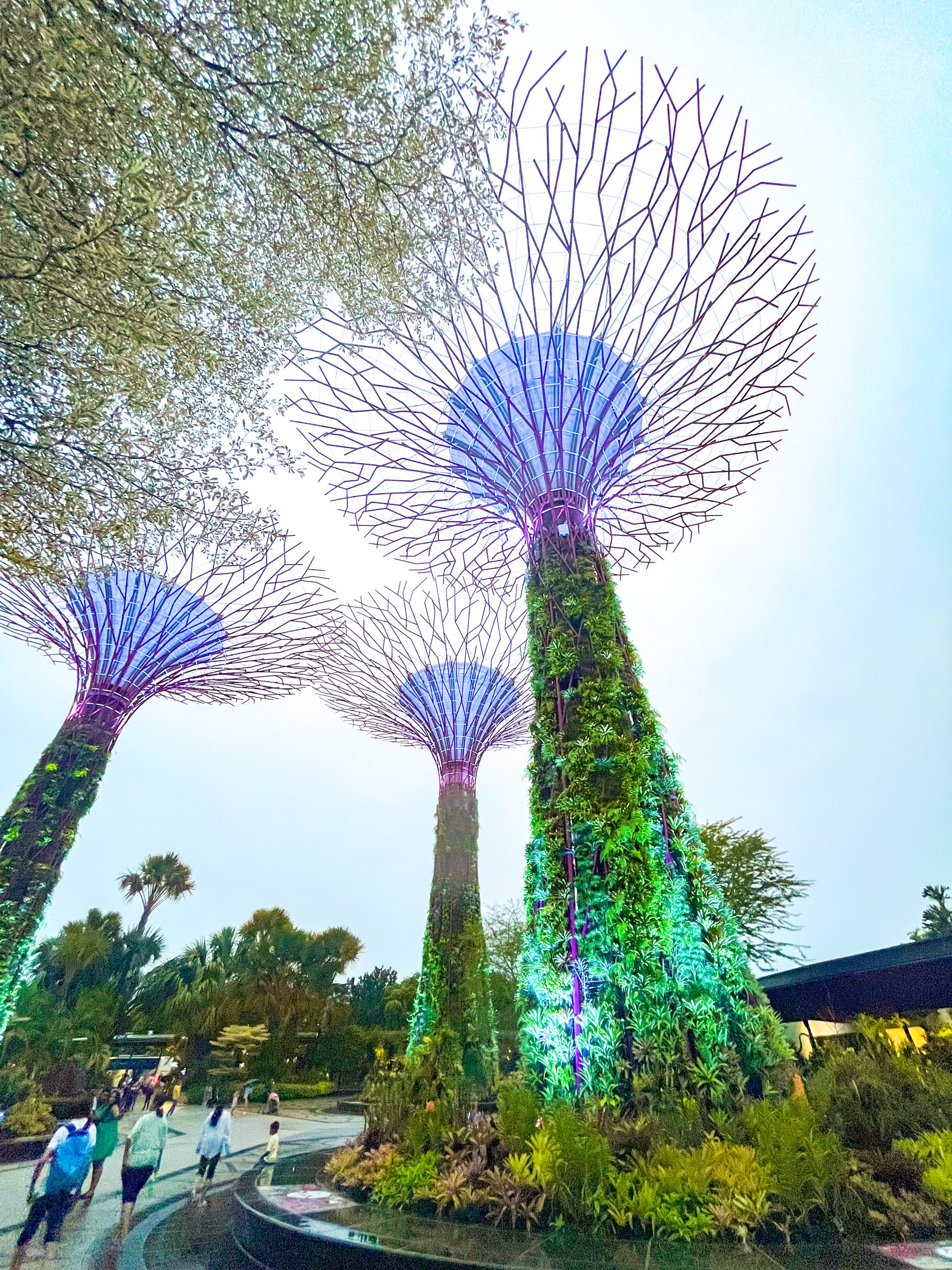 Gardens By the Bay Singapore