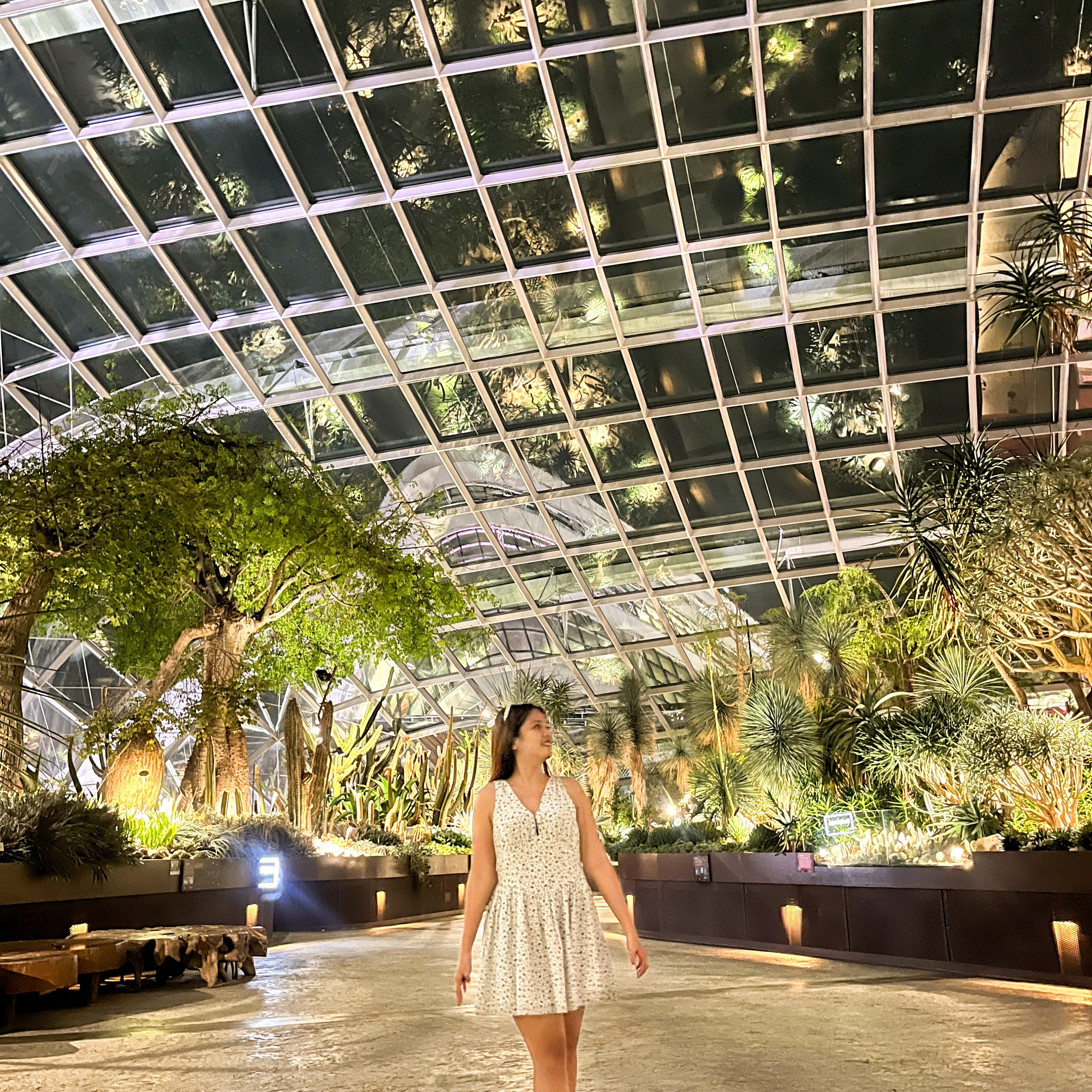 Gardens By the Bay Singapore