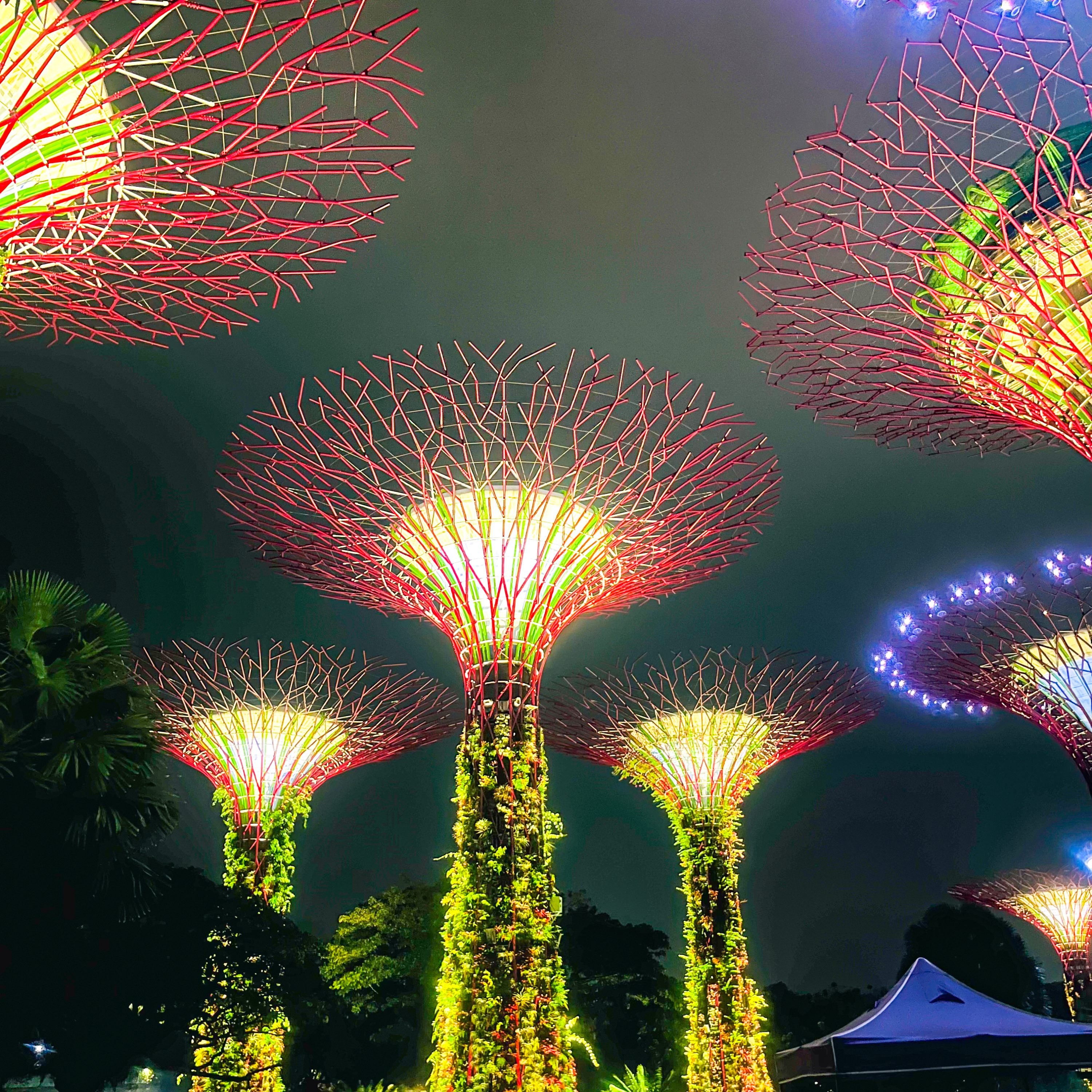 Gardens By the Bay Singapore