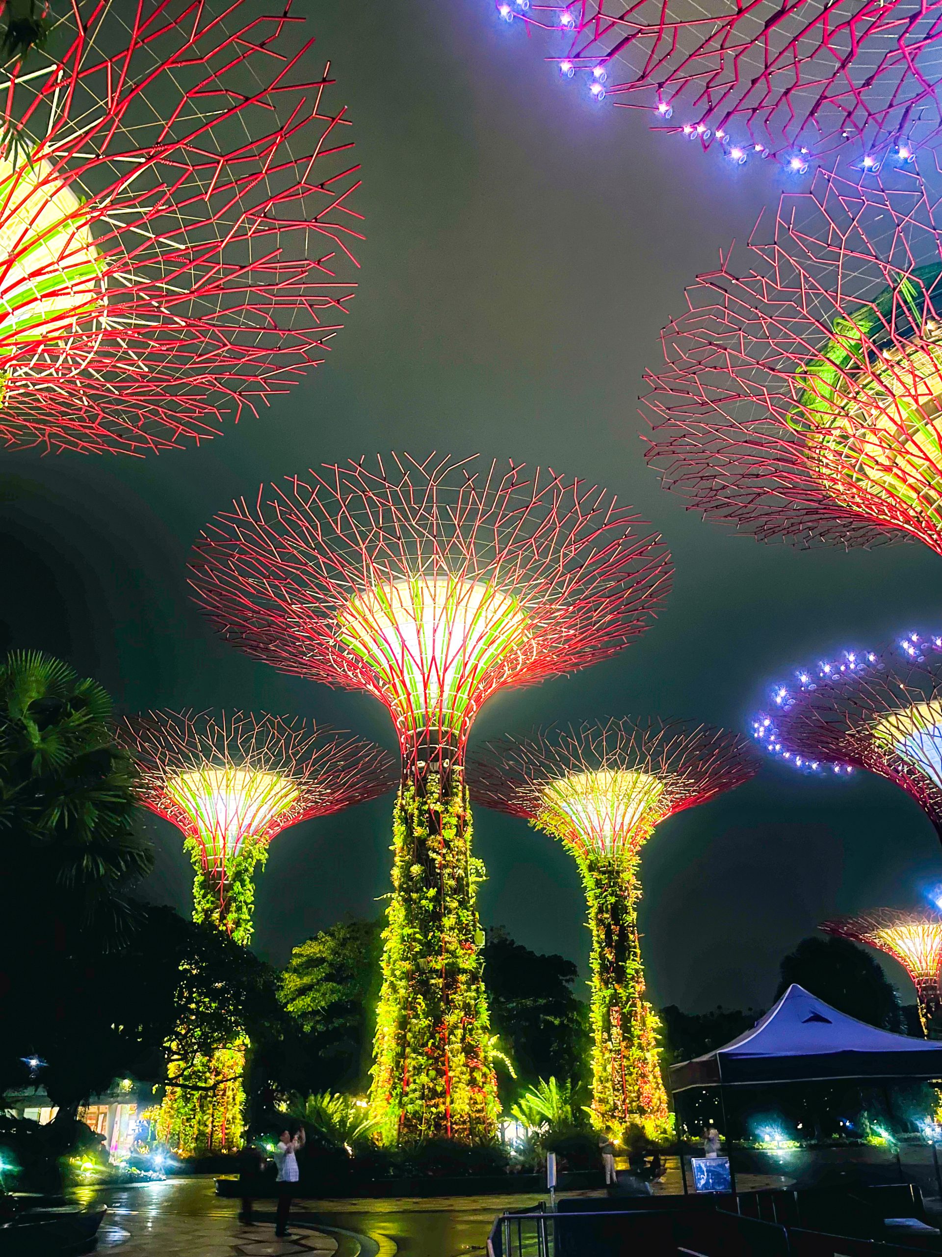 Gardens By the Bay Singapore