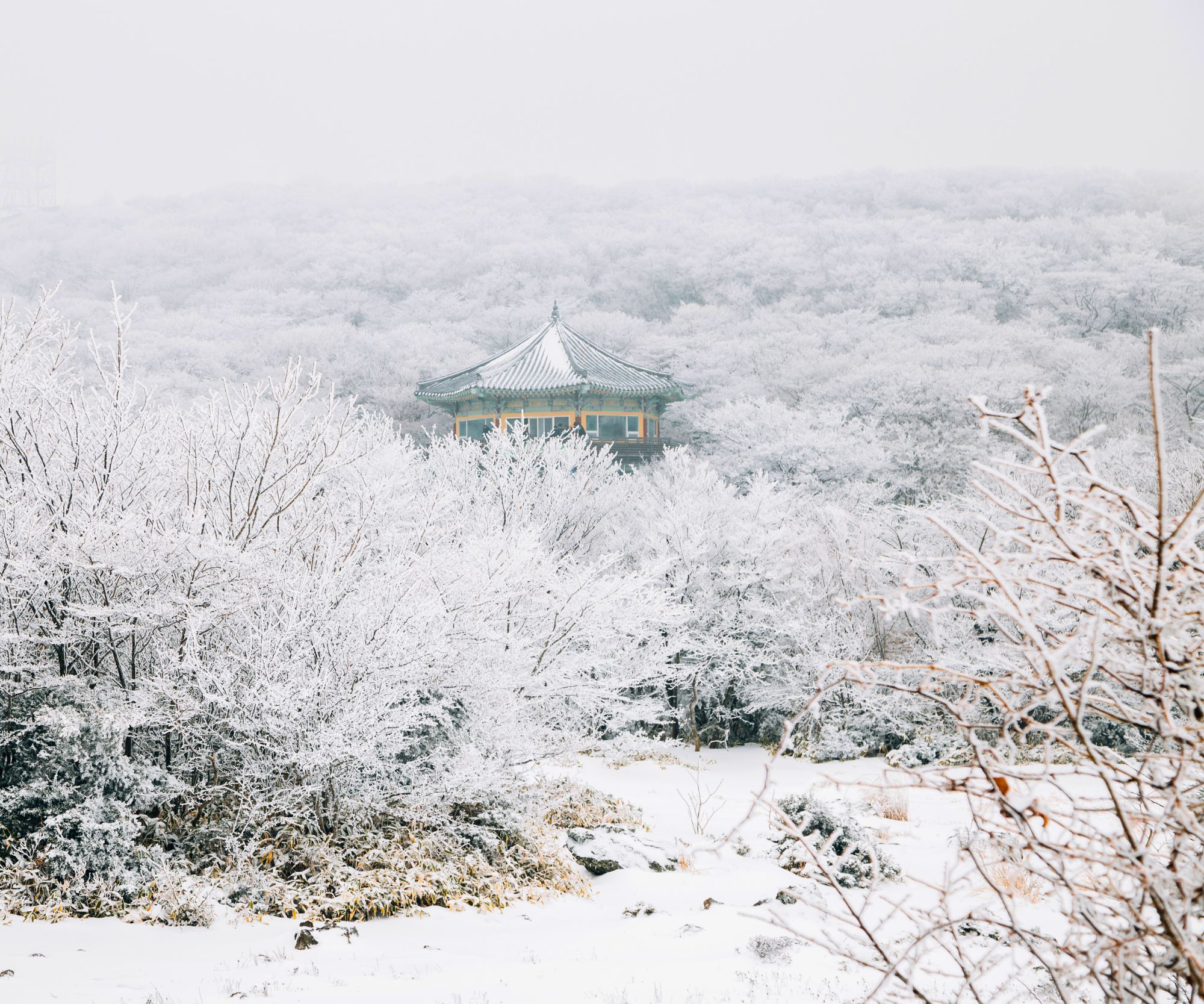 Top Visa Free Countries for Filipinos Where You Can Experience Winter