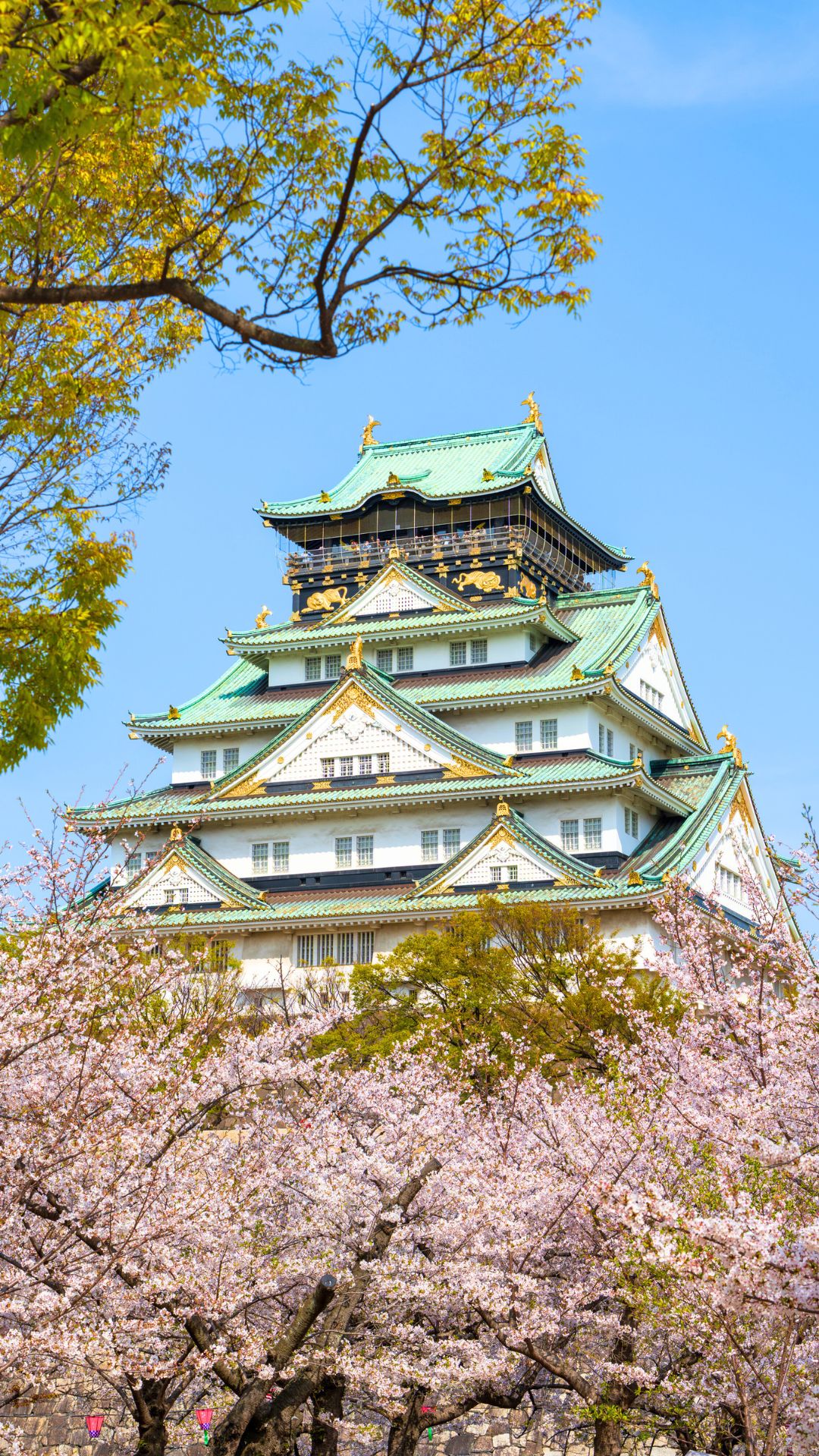 Japan Visa Requirements